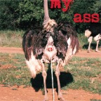 Kiss my ass